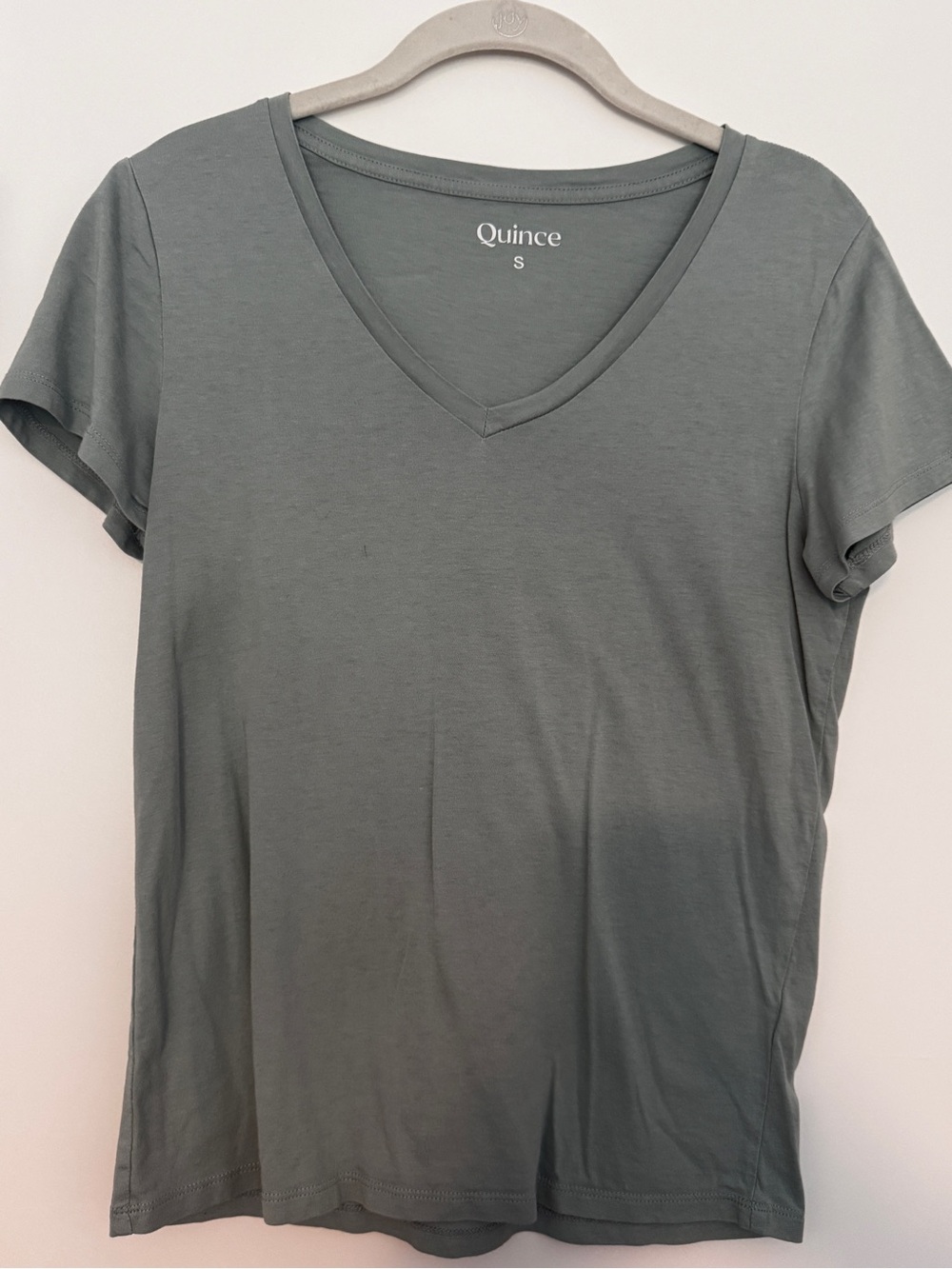Quince Short-Sleeve V-Neck Tee in Sage